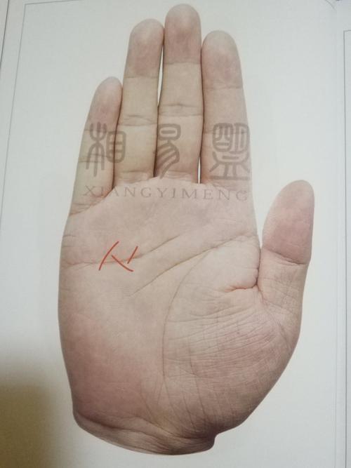 生殖线:如果感情线起端有像羽毛状的杂纹,说明这个人的生育能力强.