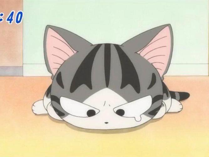 起司猫