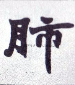 字典索引 【肺】字墨迹书法写法 汉·《说文解字》 清·《楷书南唐四