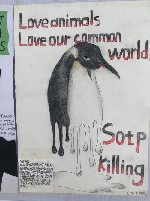 七年级"保护动物"英语海报展