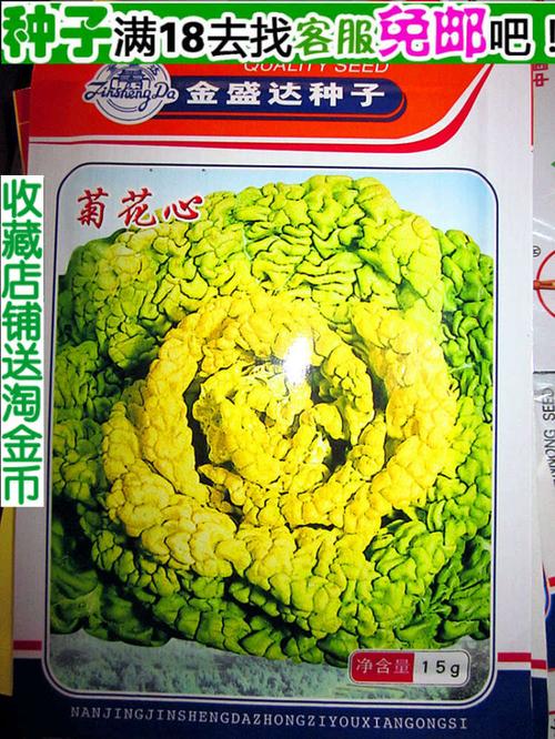 植物种子四季易种 蔬菜_蔬菜种子 黄心乌塌菜种子 菊花心 阳台盆栽