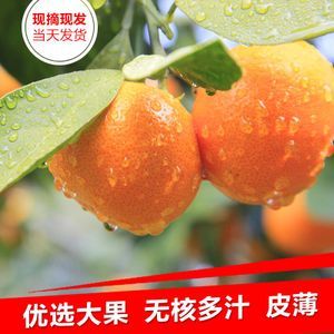 眉山特产水果