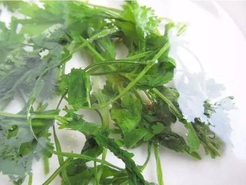 学会这种方法存香菜,能够吃一年的,再也不用花高价钱买香菜了