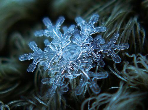 微观晶莹的雪花图片大自然是如此奇妙