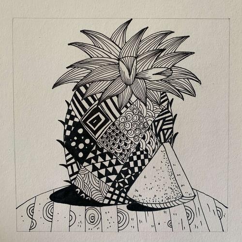 趣味线描-菠萝的花外衣