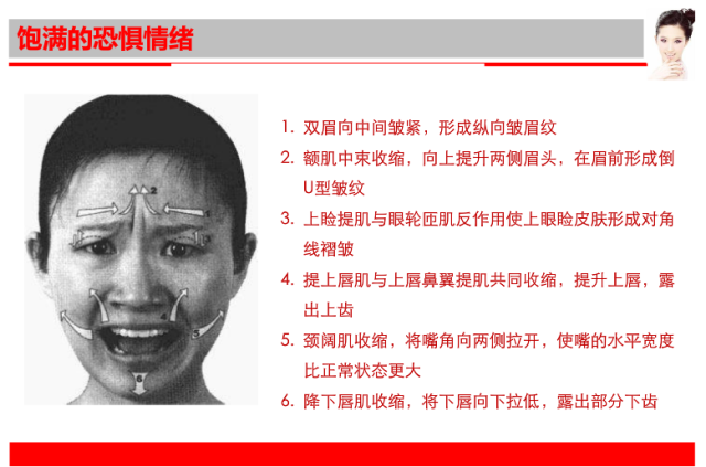 65张专业面部表情肌肉走势分析,强烈推荐收藏(多图)