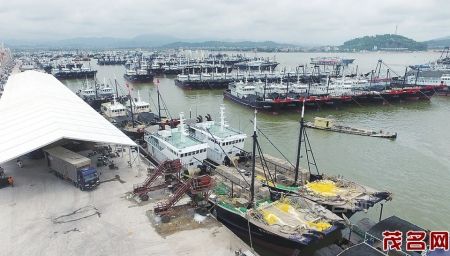 全国十大渔港之一的博贺港.本报记者甘杨松摄