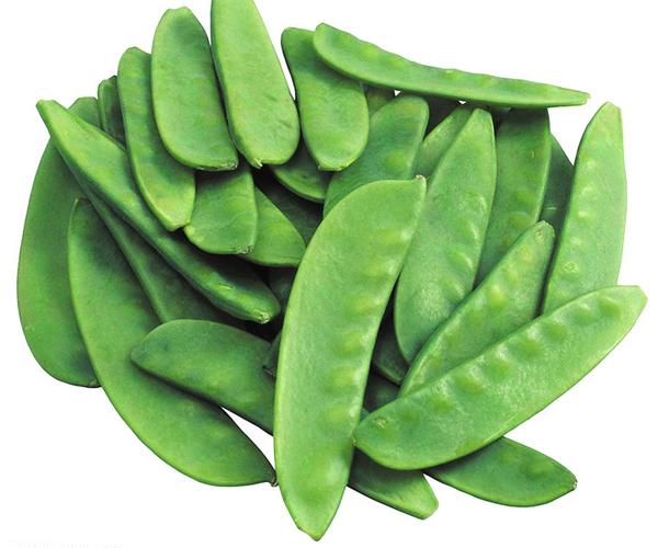 笋瓜(北瓜) 冬瓜 丝瓜 苦瓜 豇豆(角豆,豆角) 扁豆 豌豆(青豆,荷兰豆)