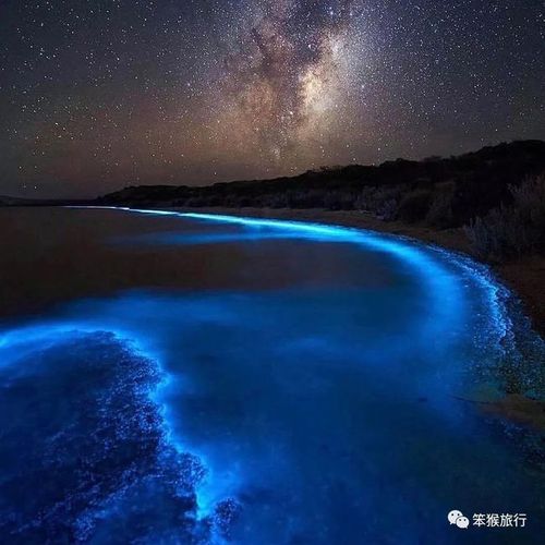 罕有,而波多黎各就占了3个, 「少年派的奇幻漂流」中的神秘发光海面