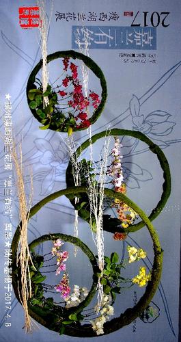扬州瘦西湖兰花展"嘉兰有约"剪影