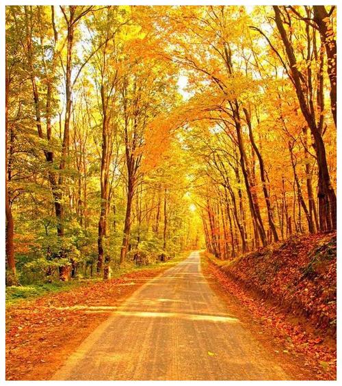 我眼中的秋天最美的样子