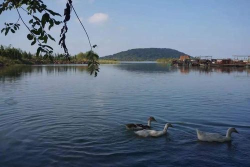 苏州三山岛