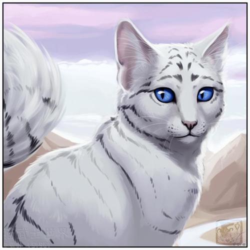 跟上冬青一起探索原著猫猫(*^-^*) - 猫武士世界