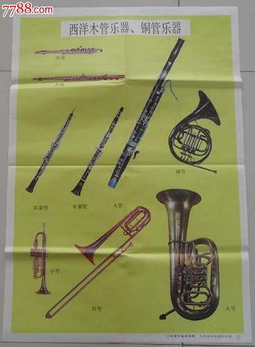 西洋铜管乐器手抄报 手抄报图片大全