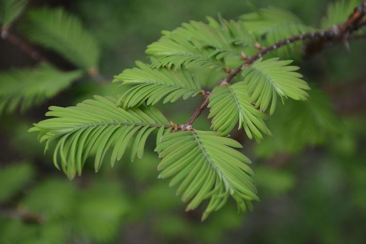 又是跟植物待在一起的悠闲下午啊