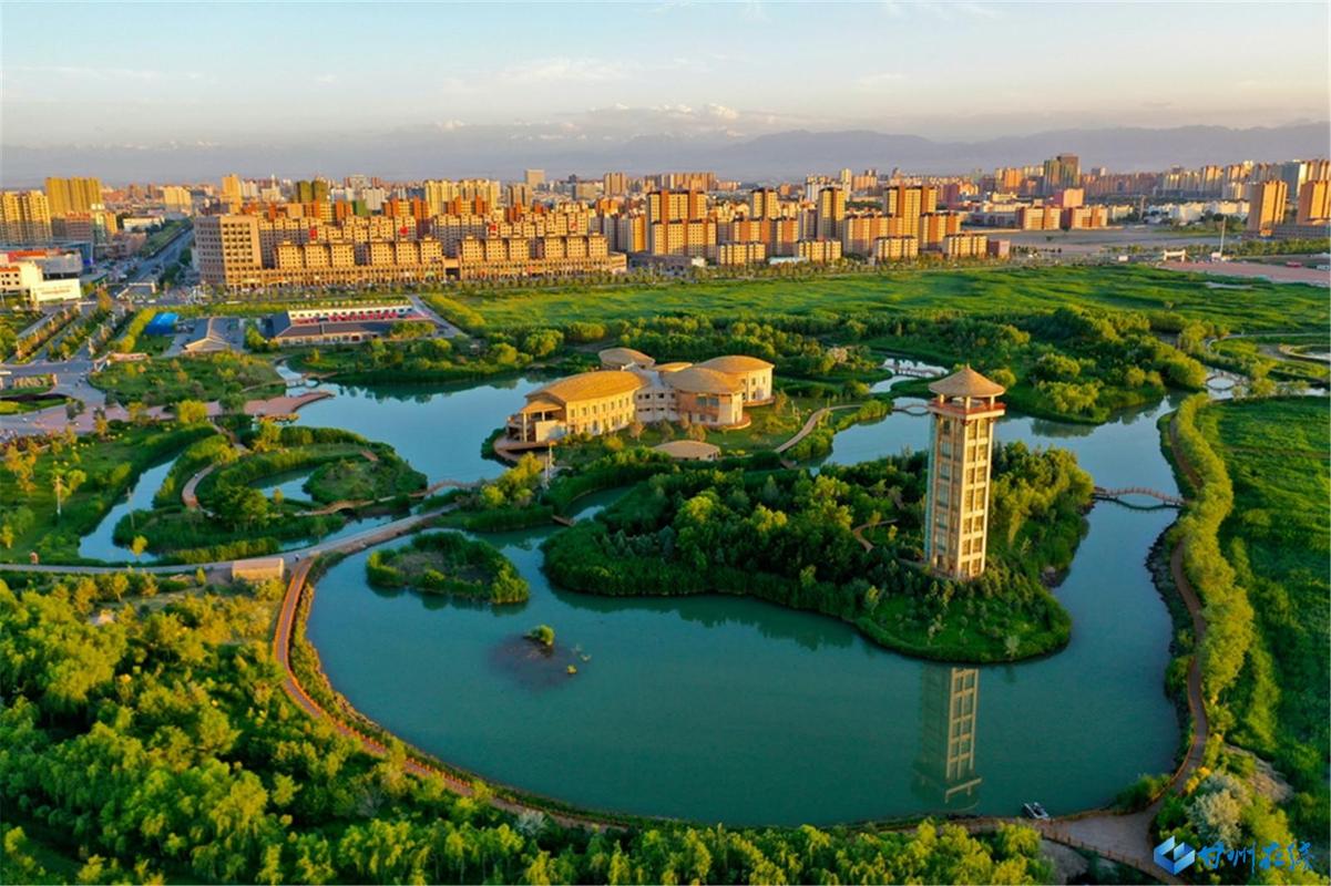 航拍张掖"城市之肺"绿如海