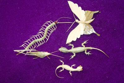 鸟禽虫鱼,王文定的棕编生命