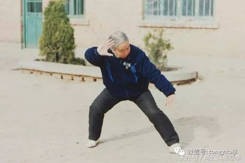 老视频尚云祥之女尚芝蓉谈形意拳的进阶之路