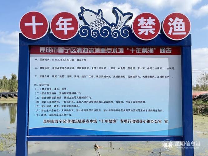 滇池"十年禁渔":晋宁区649条渔船停船靠岸