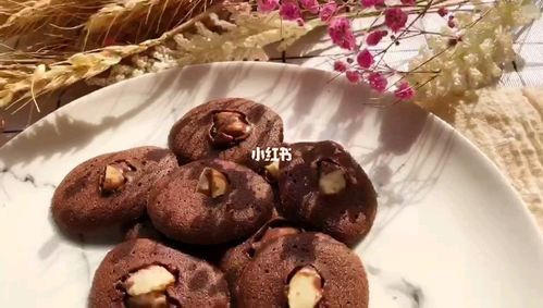 巧克力坚果嘎嘣脆饼干_饼干_巧克力_美食_美食教程