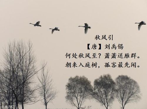本周我们背过的古诗有:《秋风引》《雨晴》《田上》《溪居即事》.