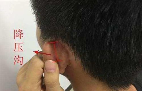 1.  耳朵后面的"降压沟"