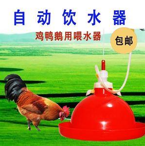 水壶新款养殖水器用品自动小鹅喂喝小鸡雏鸡鸡苗养鸡鸭苗饮水器