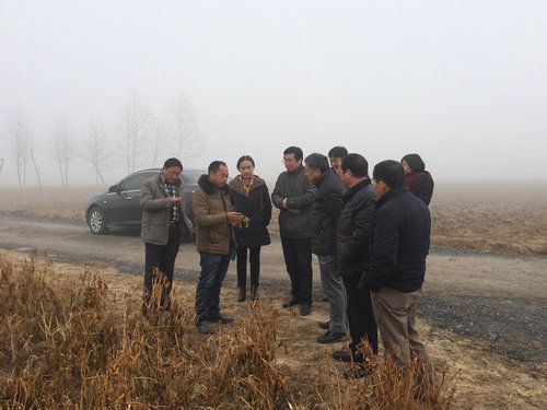 【单县】单县终兴镇楚庄村辣椒种植基地获好评