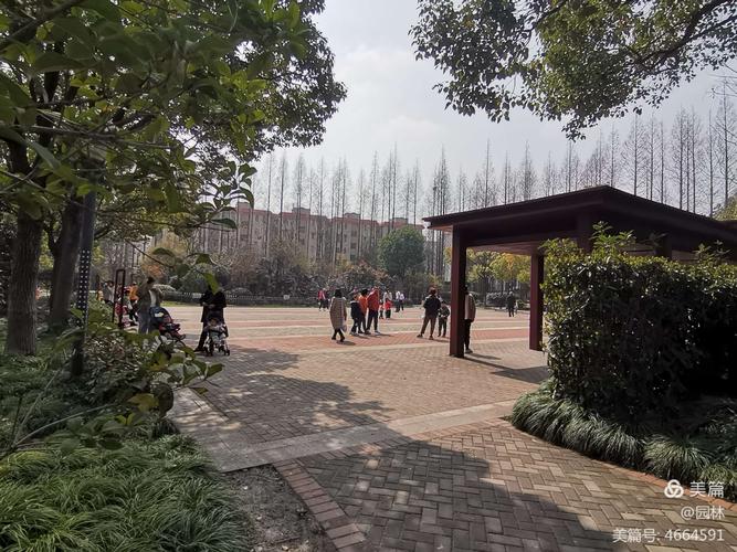 游览上海宝山区的淞南公园