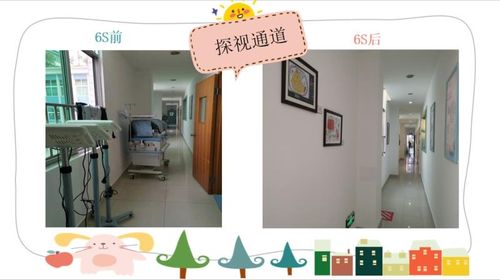 新生儿科6s成长档案