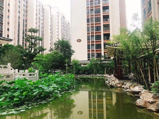 泰安·江南星语公寓 | 伫立江南诗意生活 构筑人居品质范本