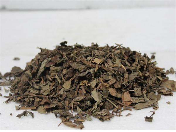 肿节风_全草类_中草药系列_亳州冠青堂药业