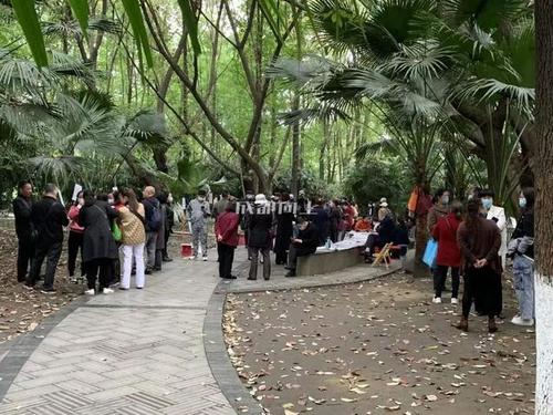 成都公园运维大挑战:三大老牌公园,还能迎来春天吗?