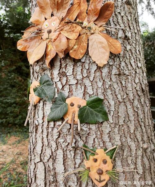 落叶,枯枝,树皮还能做手工?没有做不到只有想不到!