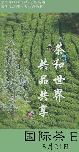 国际茶日|茶和世界 共品共享