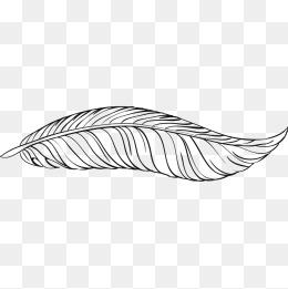 羽毛黑白图片大全