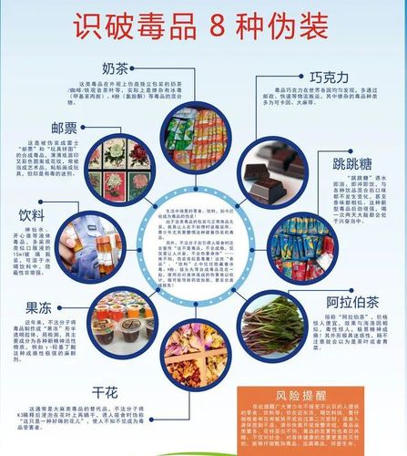 禁毒宣传"进校园"——大连中院组织开展"防范新型毒品