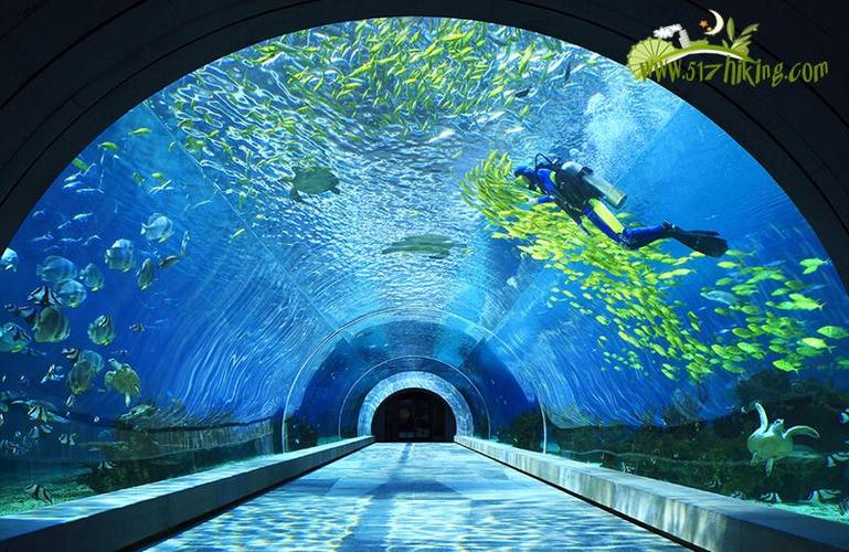 第二课堂寿光极地海洋世界 历史文博博物馆一日游