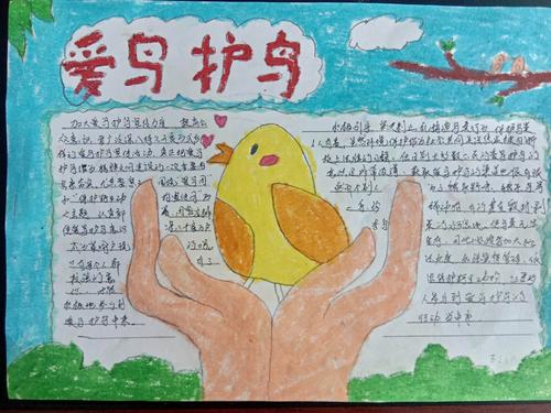 共建好时代——湟源县林业和草原局野生动物保护站第39届"爱鸟周"活动
