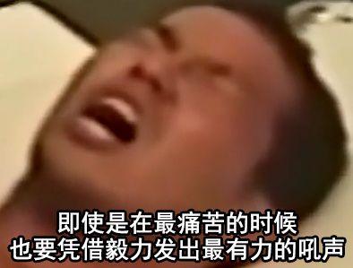 求求各位了,来点野兽先辈表情包 我什么都不会做的