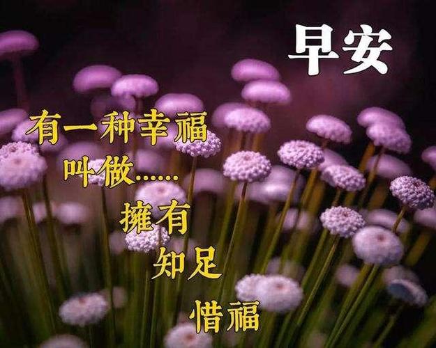 发朋友圈的早安正能量哲理语录,早上好祝福表情包动态