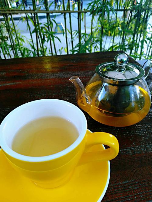 下午在户外喝茶晒太阳,看看路过的网红