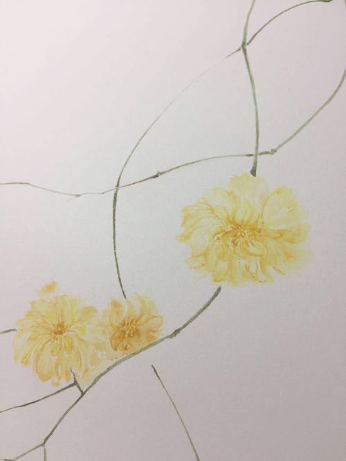 先把画满最左上角的那部分画好.最左角落那朵,象征性画一下不用太细.