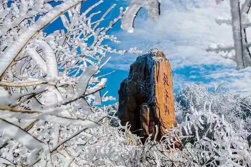 景宁敕木山:赏雾凇 仙境的那种!