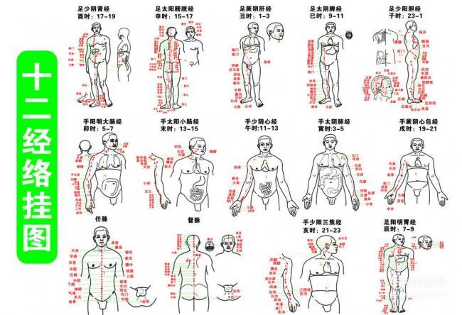 十二经络歌诀记忆法1