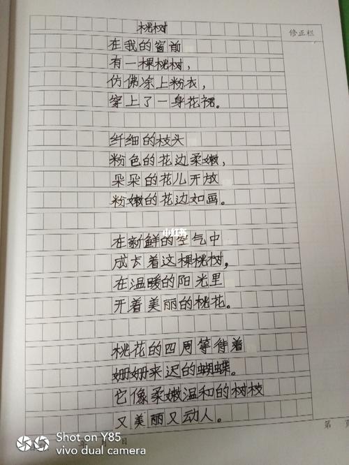 仿写白桦_教育_教育_教育其他