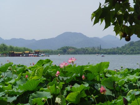 西湖夏天景色的图片欣赏2