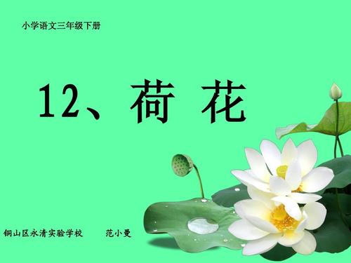 《荷花》ppt之一课件(苏教版三年级语文下册课件)00