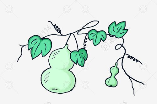 标签:处暑葫芦手绘卡通绿叶
