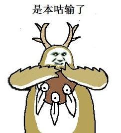 来点咕咕表情包～各位大佬